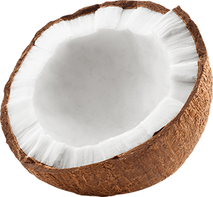 Coconut