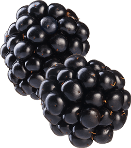 Blackberries