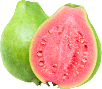 Guava