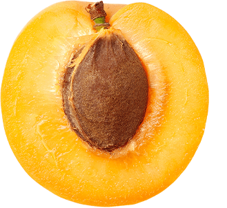 Apricot